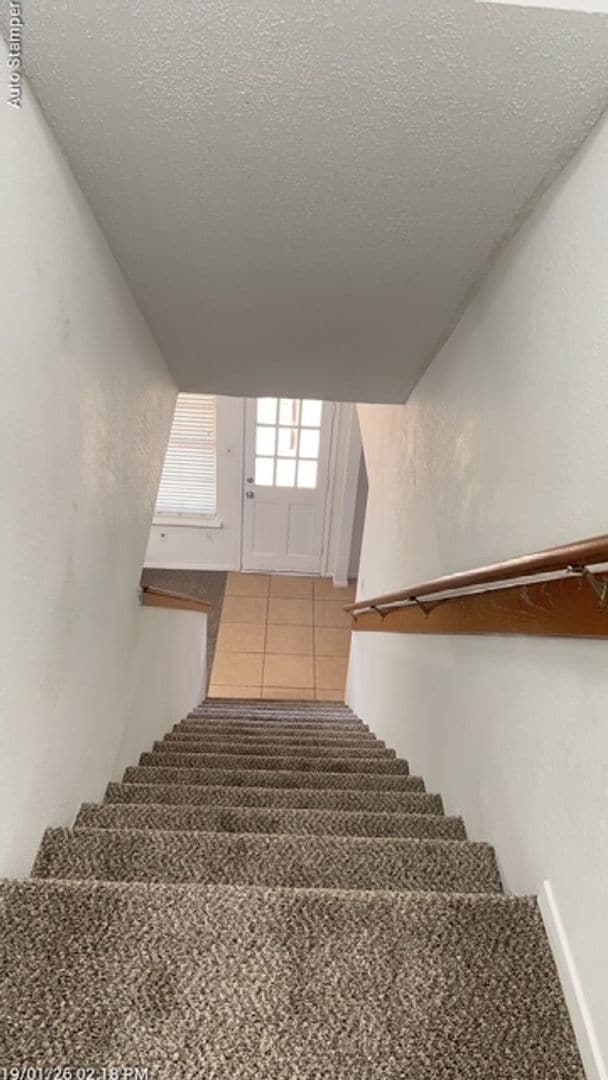 Building Photo - 905 Rose St