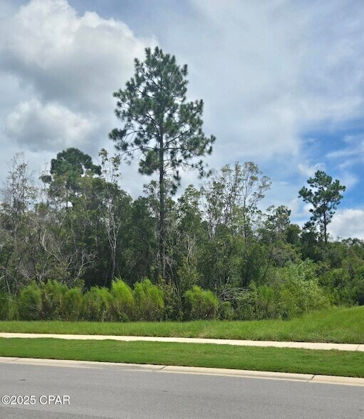 Building Photo - 8703 Conch Shell Ct
