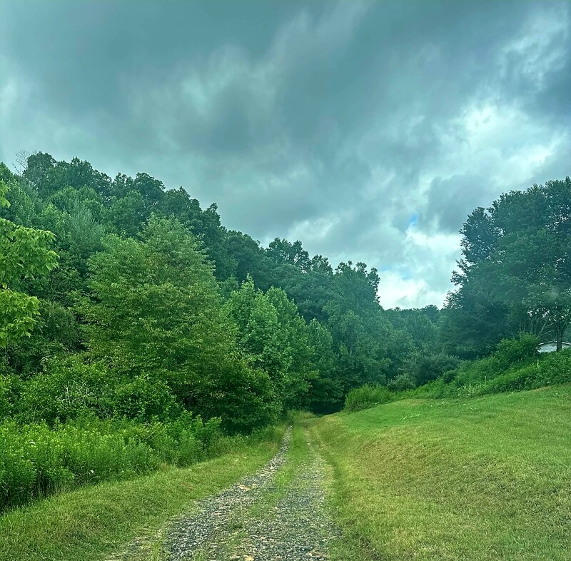 Building Photo - 2325 Snow Creek Rd