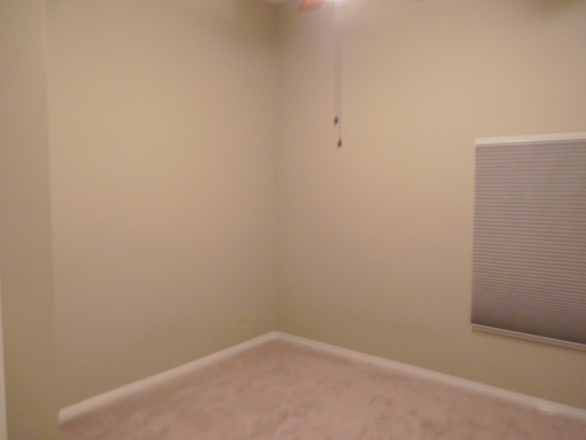 Master Bedroom - 1236 S Washington St