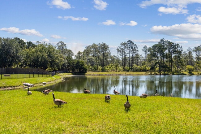 Building Photo - 12677 Pine Marsh Way