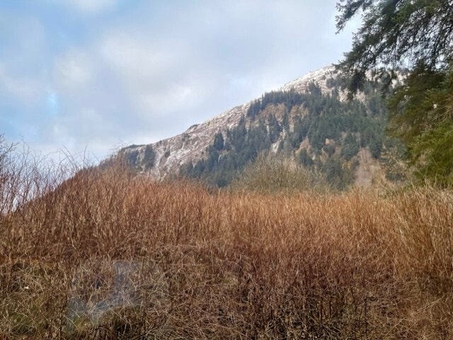 Building Photo - 1220 Glacier Ave