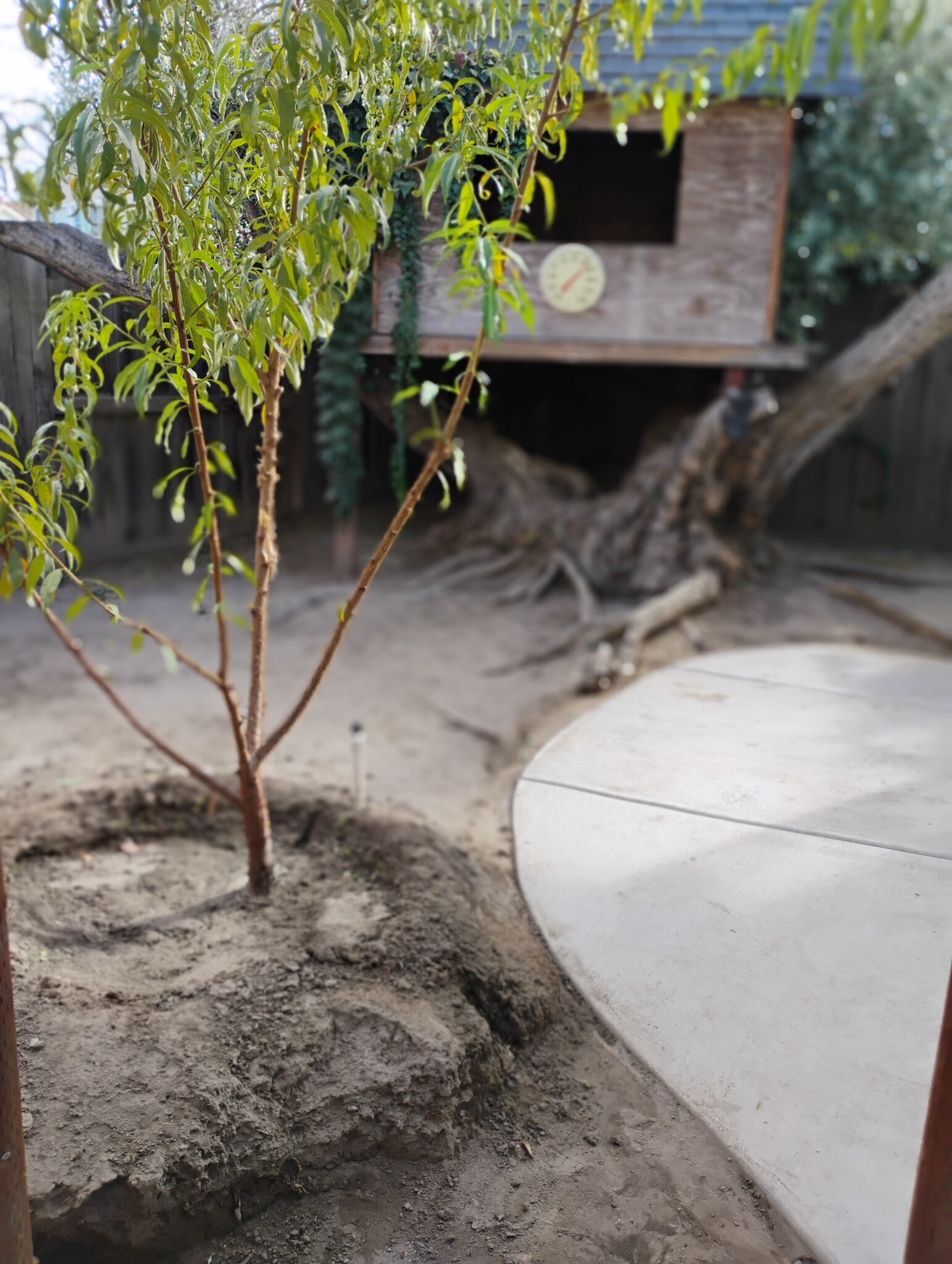 Building Photo - 3608 Balfour Ln