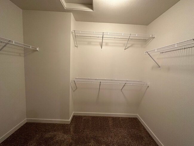 Building Photo - 9714 Windswept Pl