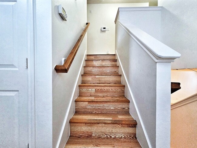 Building Photo - 127 Anise Tree Pl