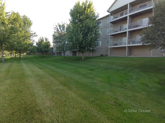 Building Photo - Diamond Valley Apartments