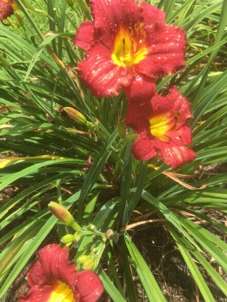 Building Photo - 49 Duke St