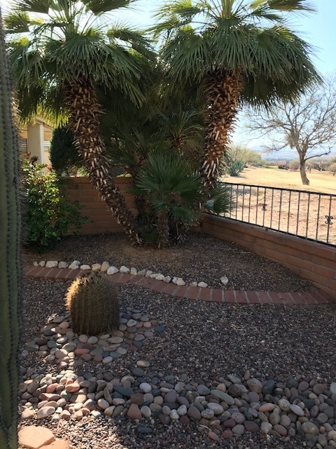 Back yard with palm tree - 1301 N Mourning Dove Rd