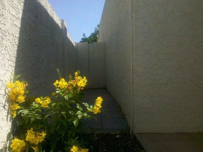 Building Photo - E Cheryl Dr