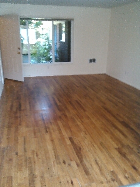 Building Photo - Lower 2bed/1bath in Alberta Arts! Off street parking, dw, hardwoods, all dogs welcome!