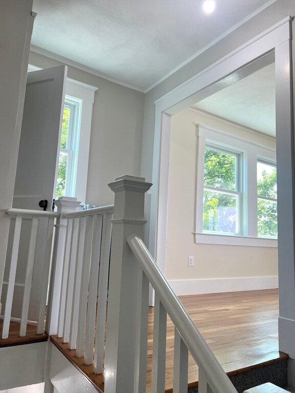 Building Photo - 6 Elmwood Ct