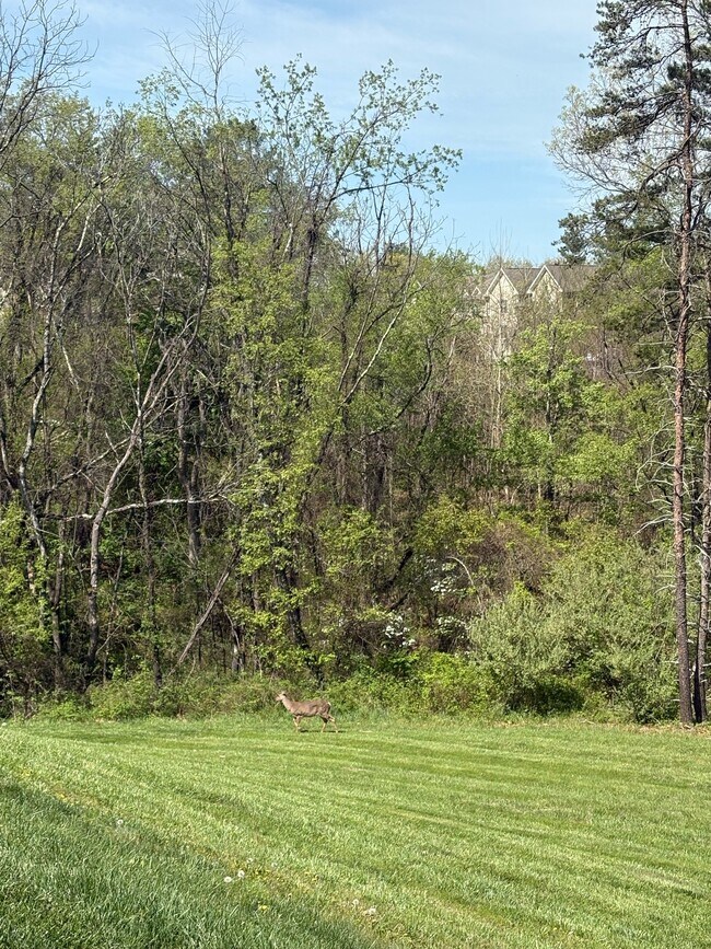 Building Photo - 18 Jackmia Way