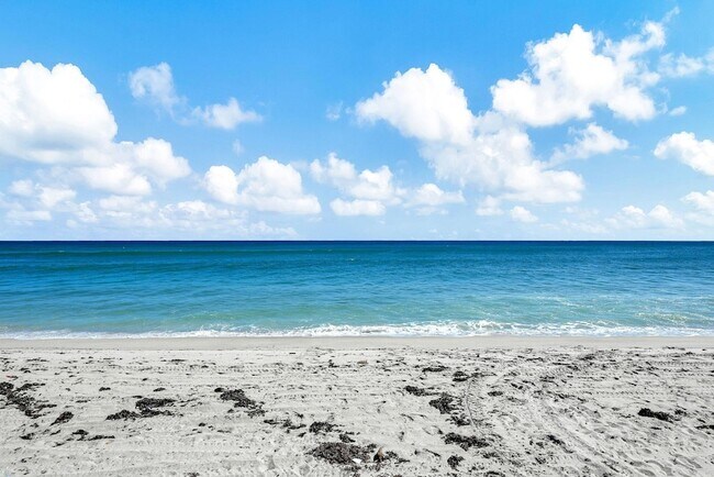 Building Photo - 1161 Hillsboro Mile Unit 207