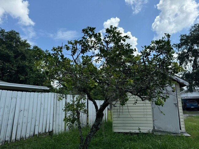 Building Photo - 3BR/2BA Zephyrhills Home with 2 Sheds, Lar...