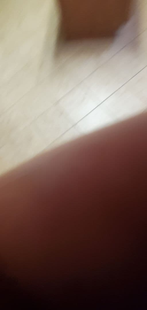 Building Photo - 249 Nomad Ln