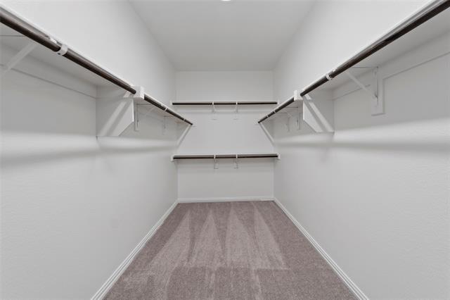 Building Photo - 3308 Sarala Ct