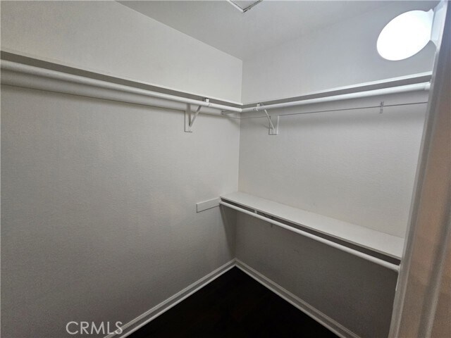 Building Photo - 536 Stone Harbor Cir