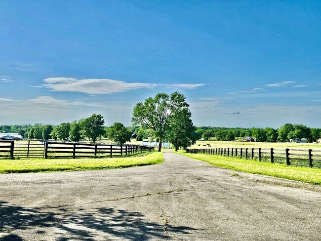 Building Photo - Escape to Luxury: Your Private Oasis on a ...