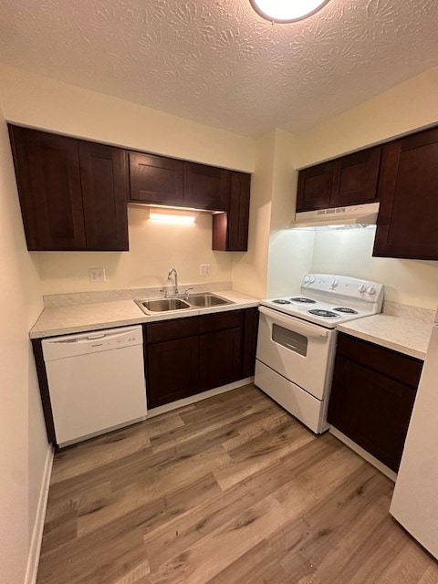 Upgraded 2 BR 1 BA - Pine Crossing Apartments