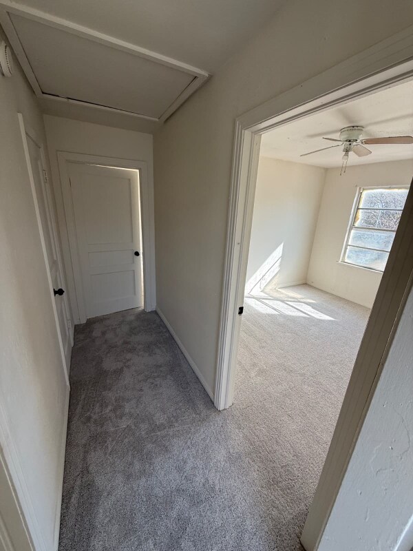 Building Photo - 1124 7th Ave N