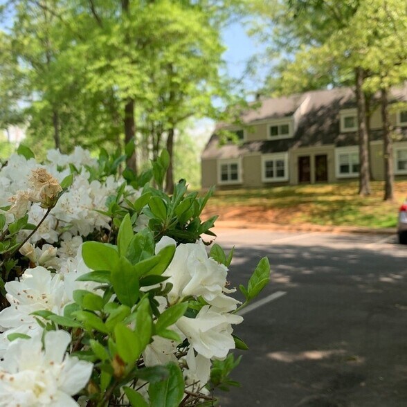 Cute Exterior! - 2651 Gatewood Cir