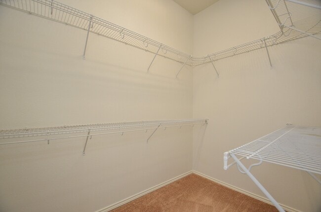 Building Photo - 6347 Alpine Trail Ln