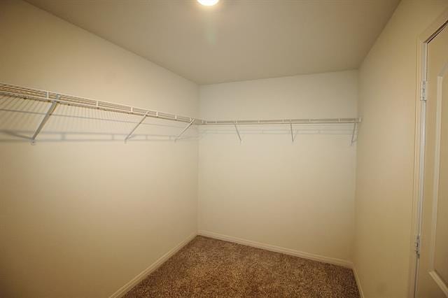 Building Photo - 233 Liberty Ln