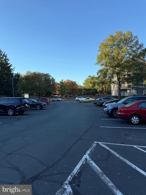 Building Photo - 21029 Timber Ridge Terrace