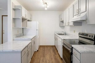 Newly Renovated 3 Bed 1 Bath - Murdock Apartments