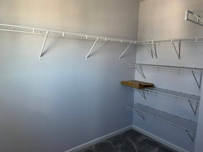Building Photo - 501 Sage Oak Ln