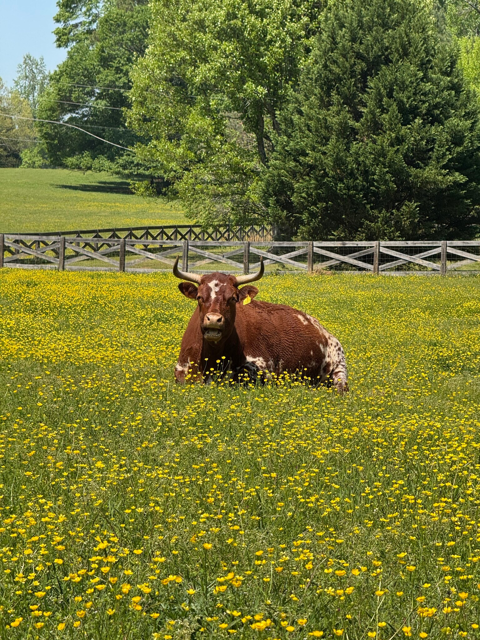 Building Photo - 729 Highway 314