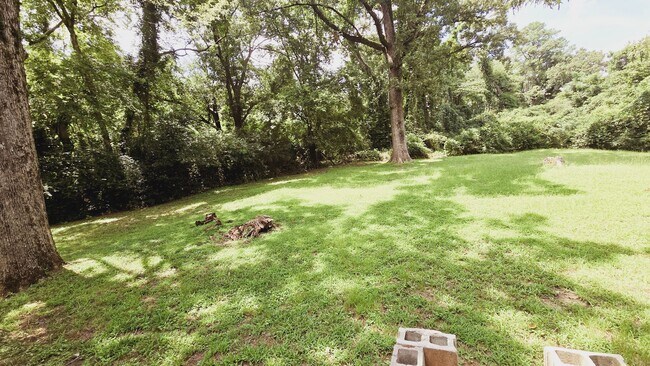 Building Photo - 3 Bedroom Home Near Samford & Brookwood