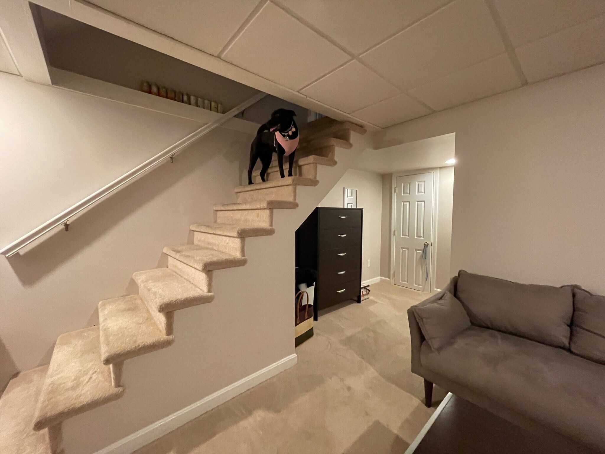 Building Photo - 23 Prestonfield Rd