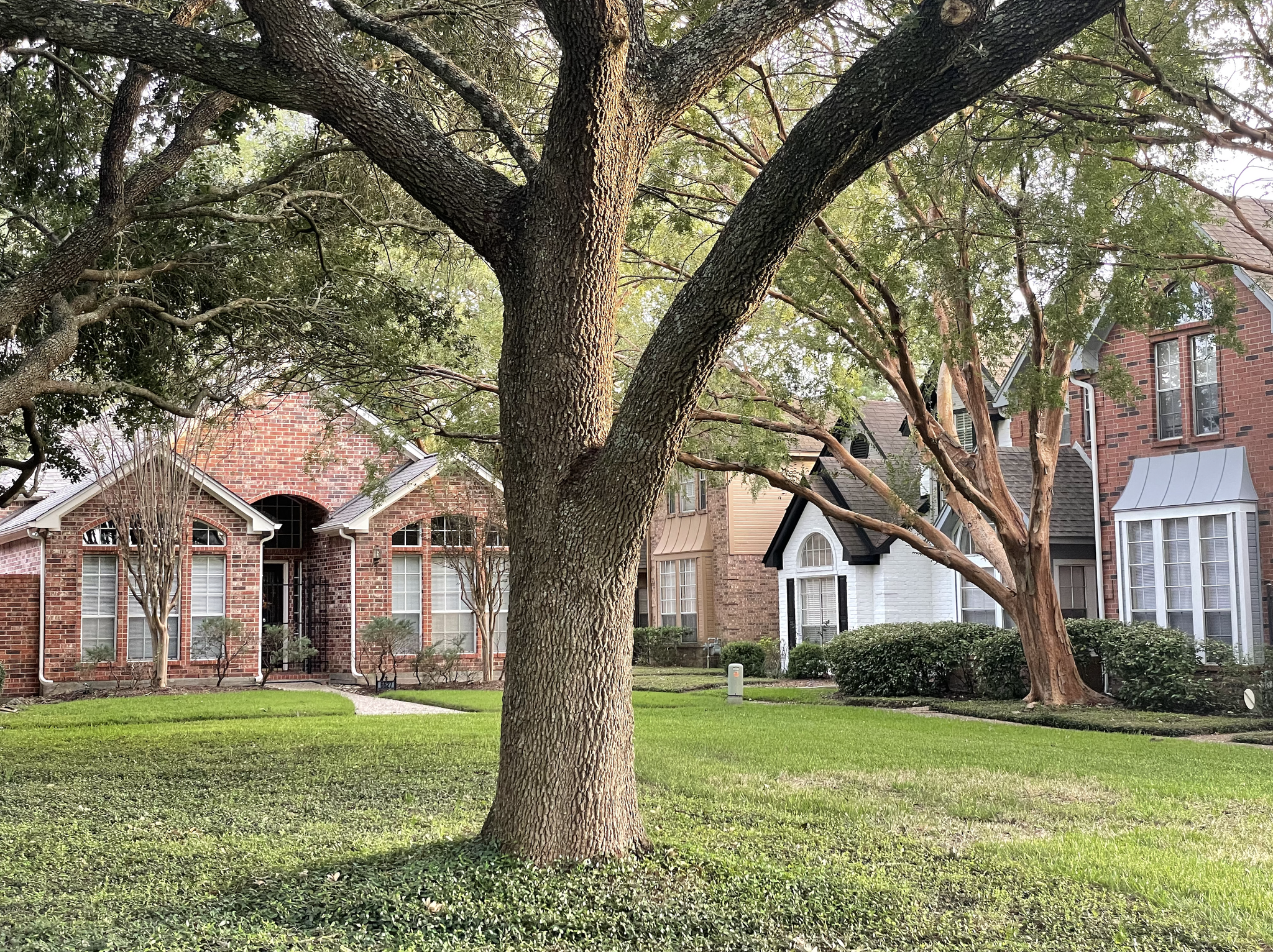 View of QueensClub from the street - 6633 Queensclub Dr