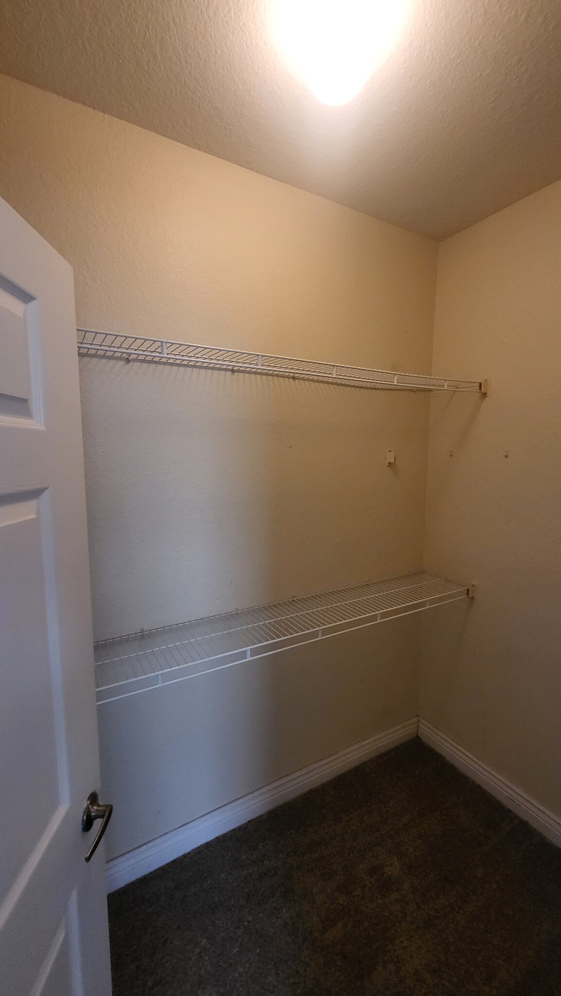 Walk in Closet - 3701 Castle Pines Ln