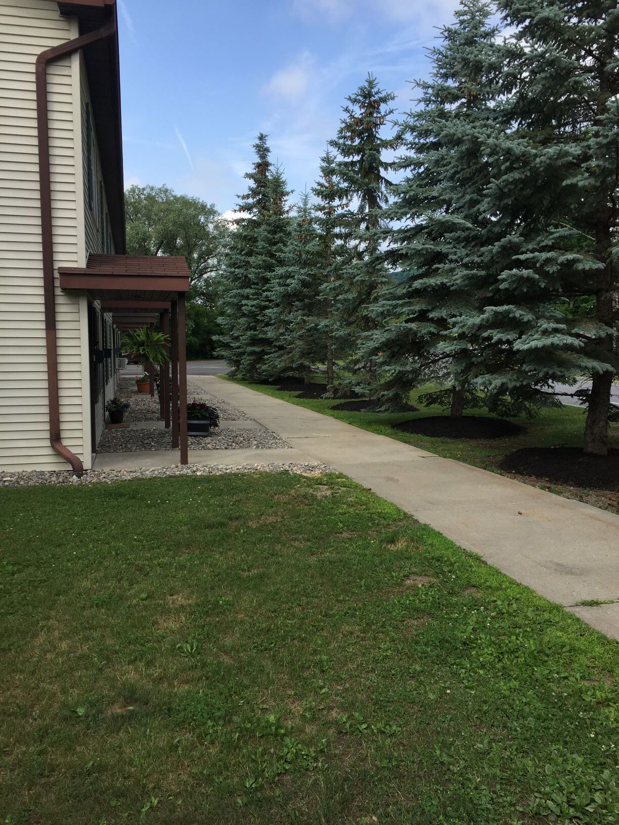 Front Entrance - 203 Elm St