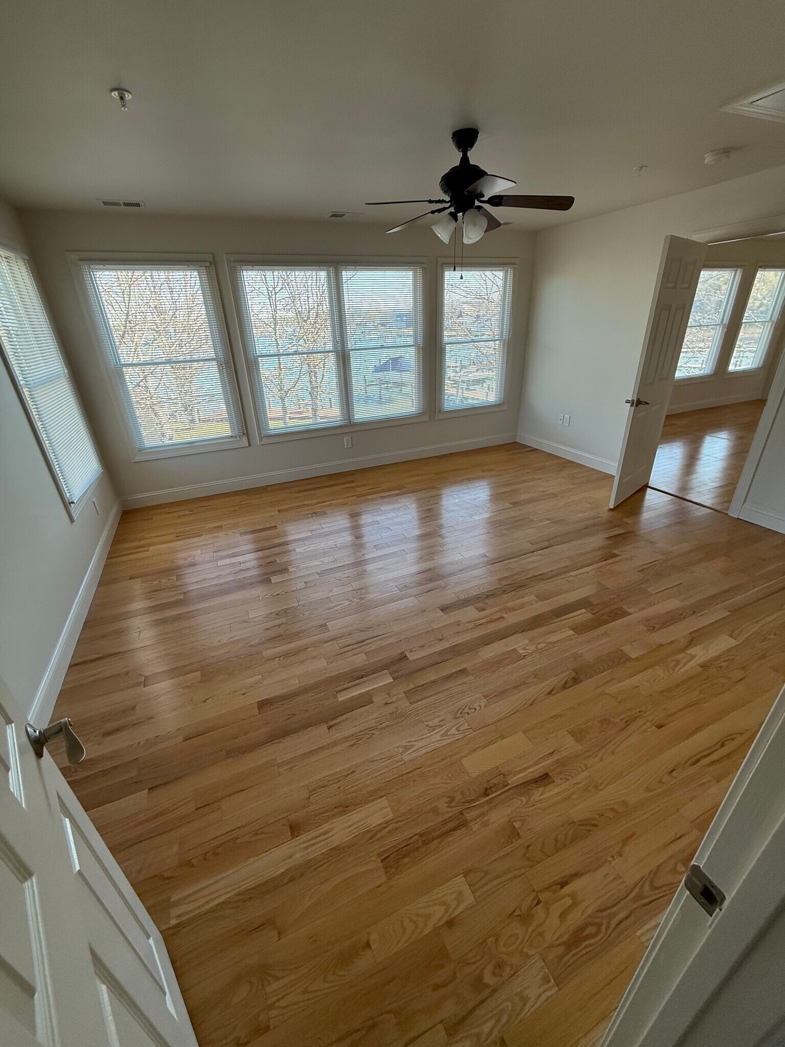 Building Photo - 943 Williams St