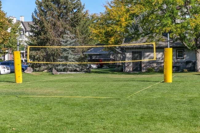 Volleyball Court