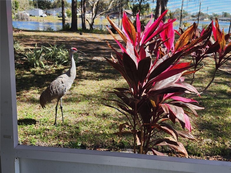 Building Photo - 2033 Quintilis Ct