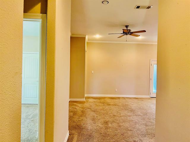 Building Photo - 110 Frank St