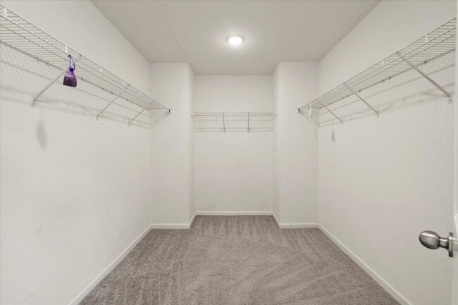 Building Photo - 2433 Chinkapin Ct
