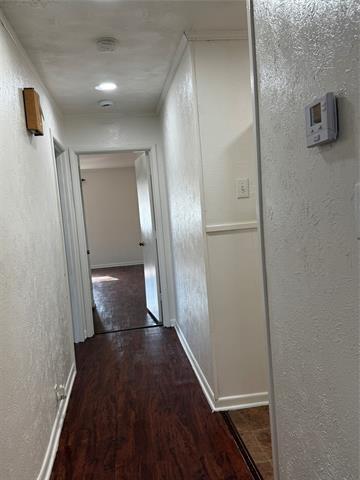 Building Photo - 4117 Big Bend Trail