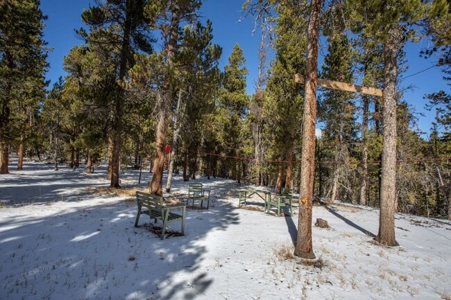 Building Photo - Stunning Fairplay Cabin available now for ...