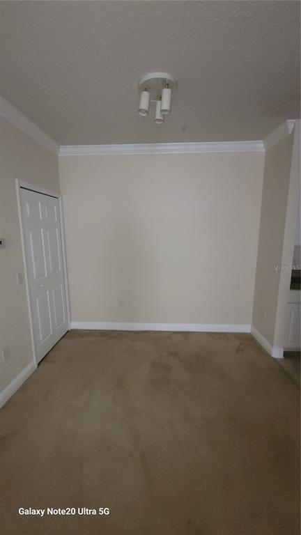 Building Photo - 430 Southern Pecan Cir