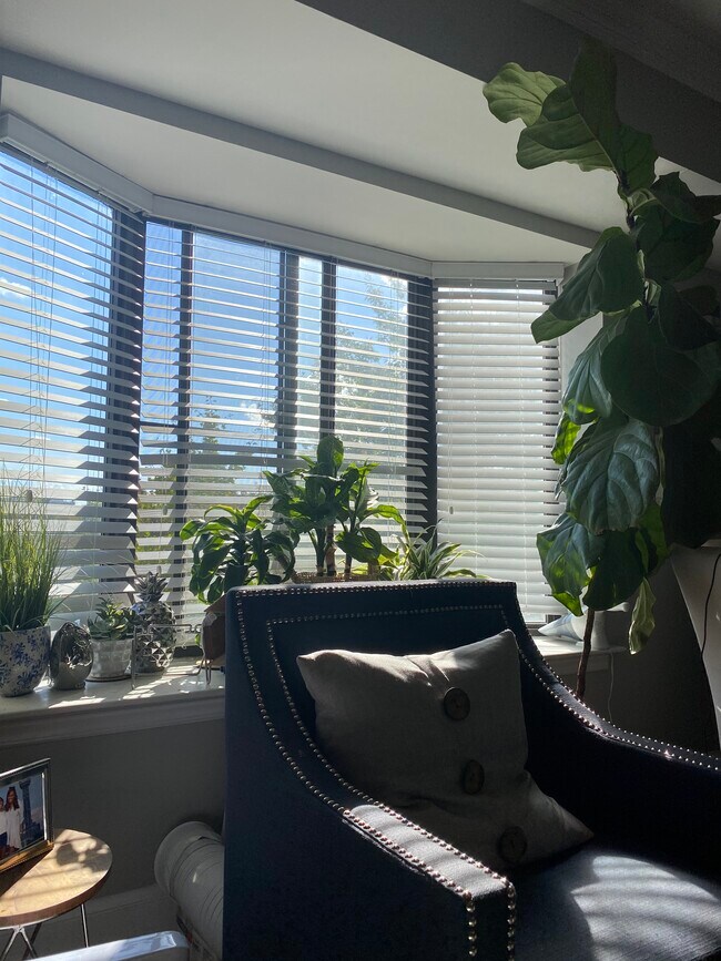 Bay Window - 1825 T St NW