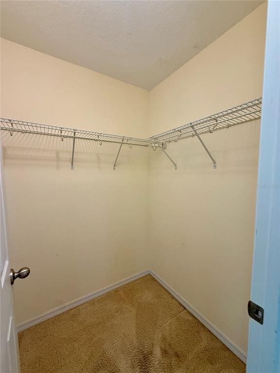 Building Photo - 9412 Strongbark Ln