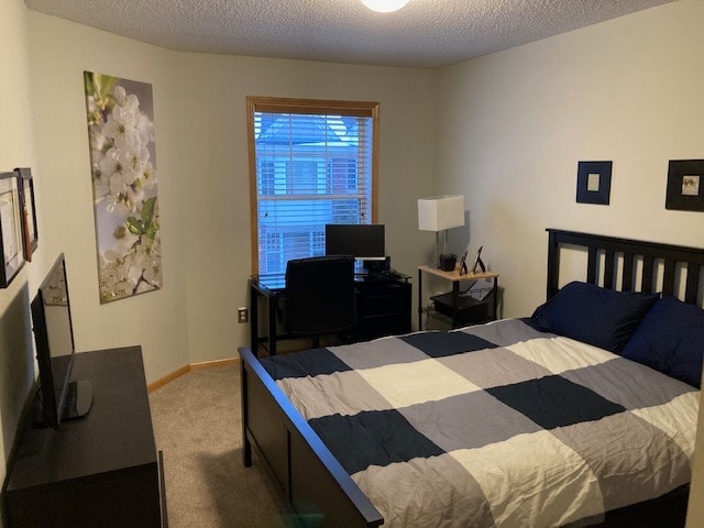 Bedroom 2 - 1510 Zarthan Ave S. #105