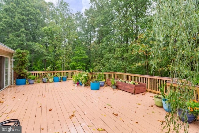 Building Photo - 53 Bloomington Ln