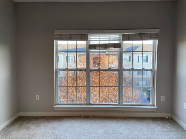 Building Photo - Bellingham Park Beauty