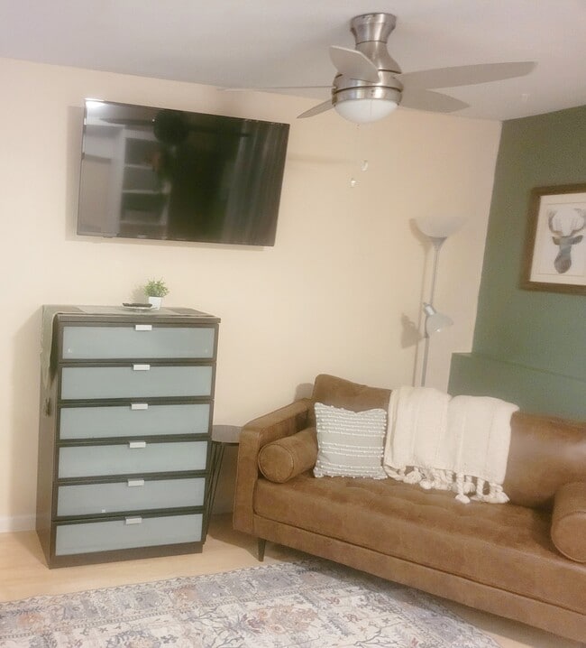 55" Smart TV, leather couch - 1327 W 25th Ave